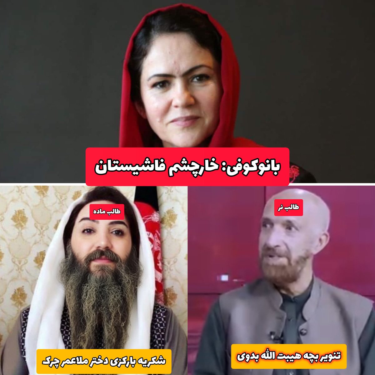 Adib 𝐓𝐉𝐊 tweet media