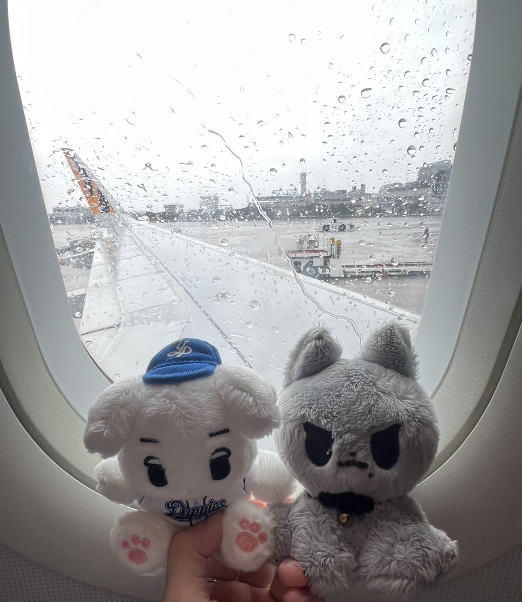 Chiii0806's tweet photo. 4/10-4/15大阪京瓷巨蛋
每天都在喊好渴好累腳好痛
但是真的好好玩🥰
感謝一起玩一起吃飯的朋朋們🫶 https://t.co/Z1MGSWDARt