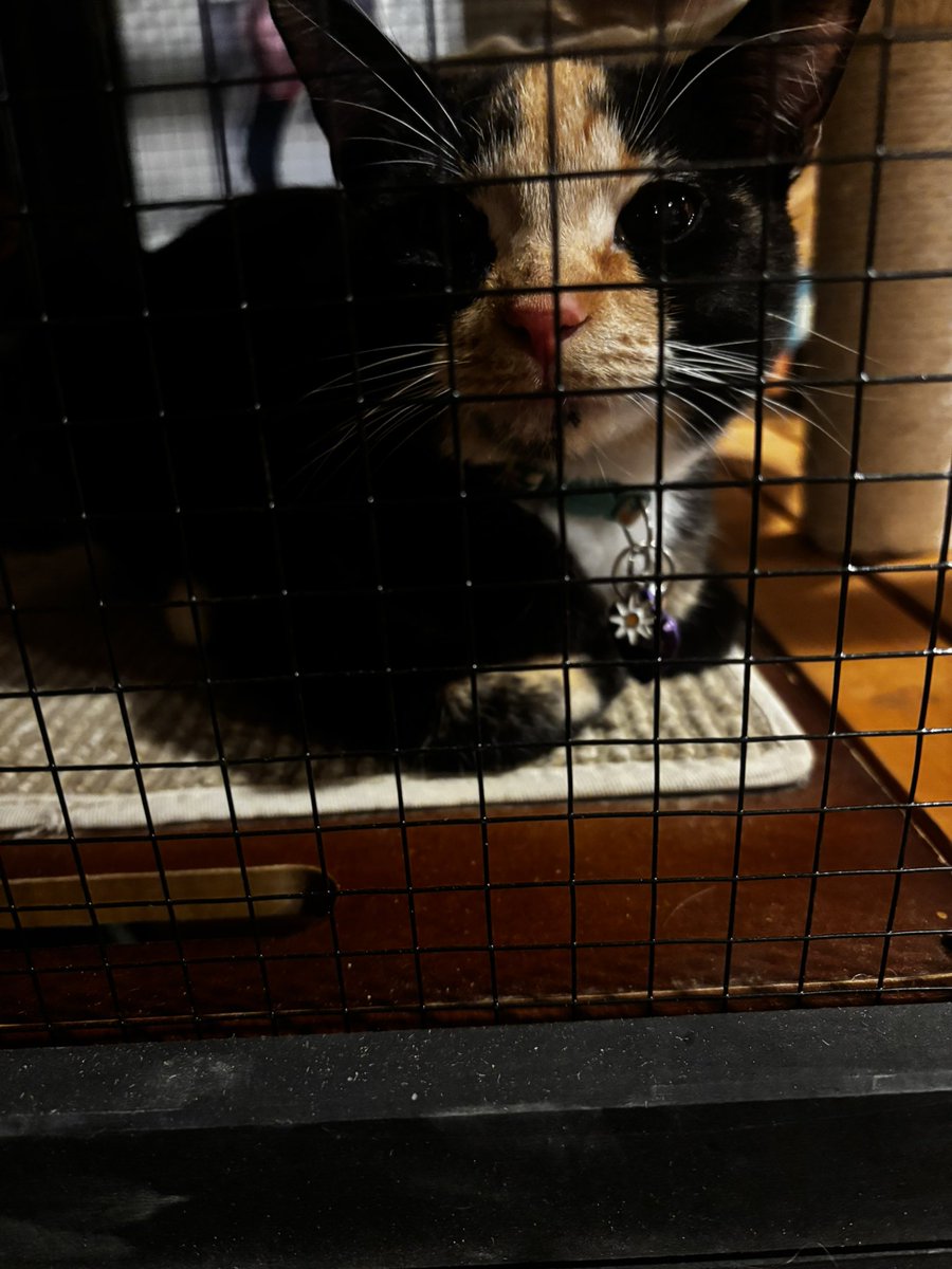 jordan⁷⁺⁸ tweet media