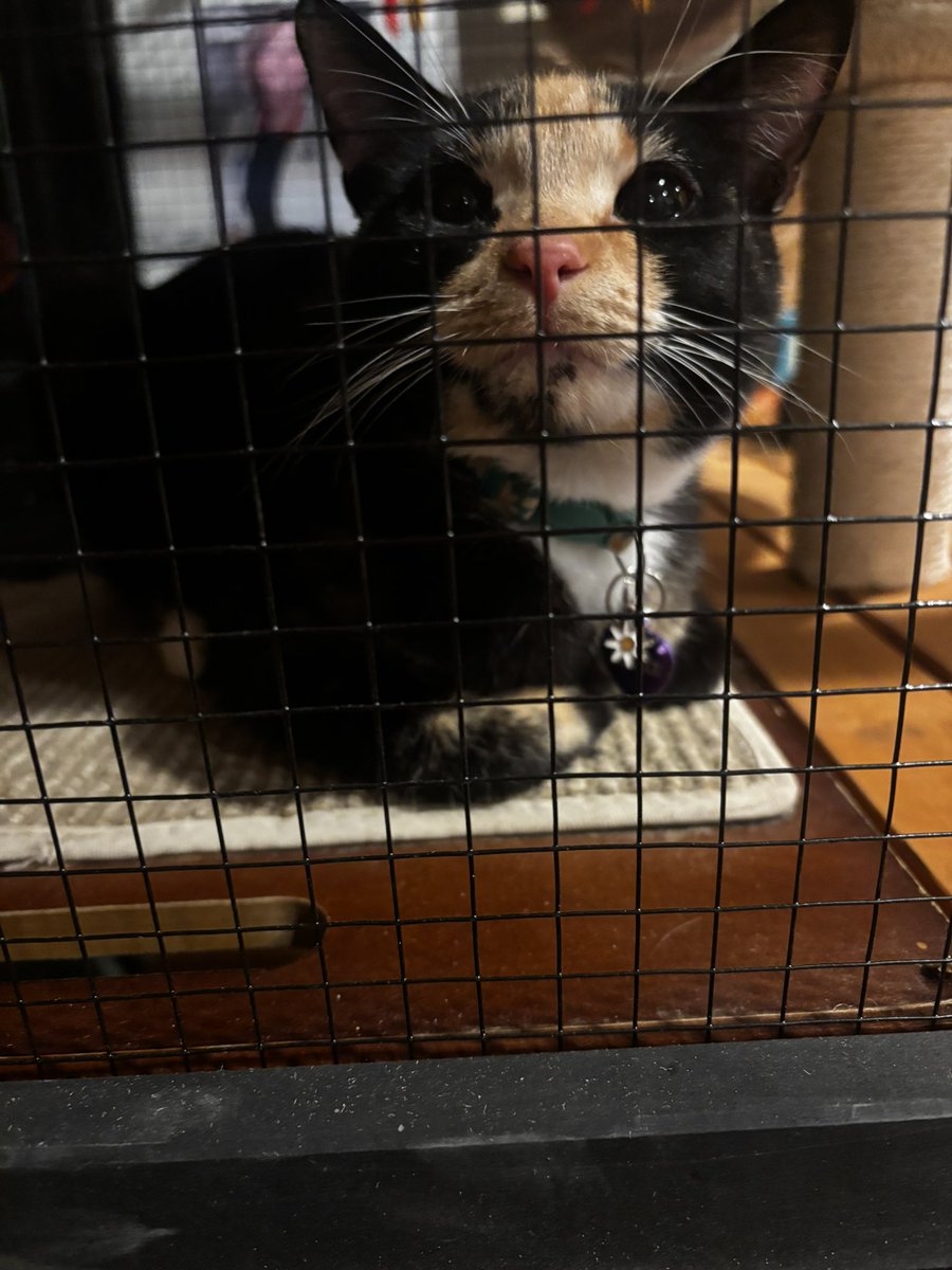 jordan⁷⁺⁸ tweet media