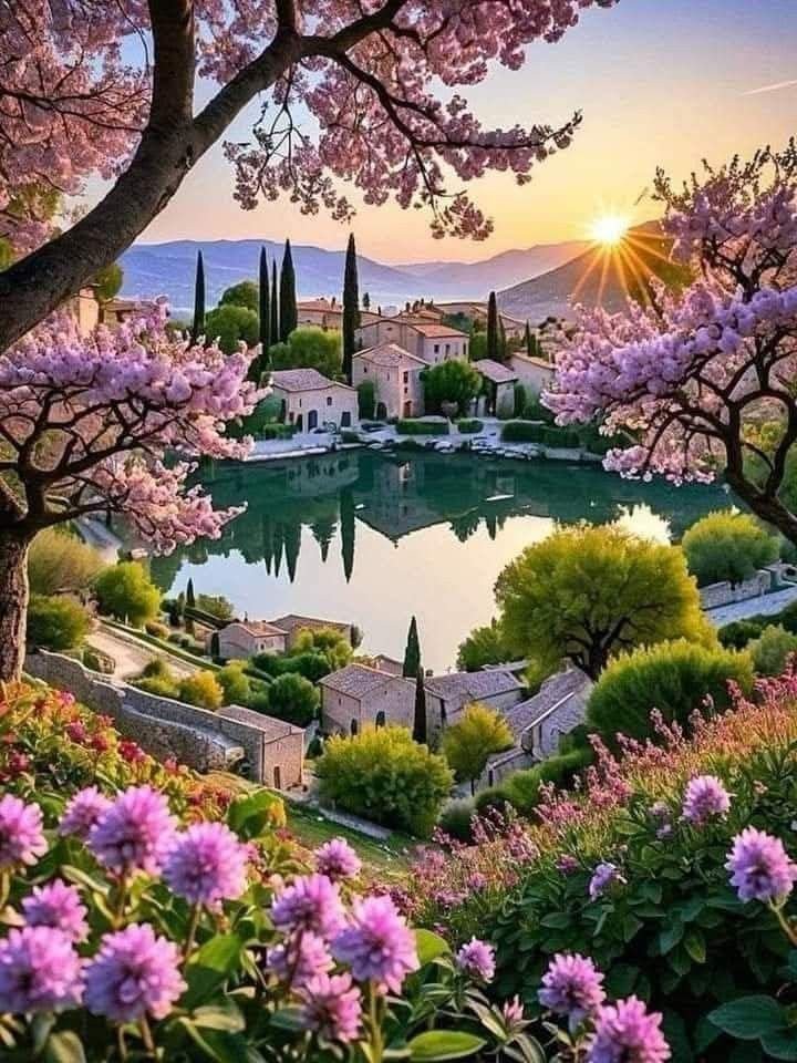 Happy Friday 🦋🌞🌿