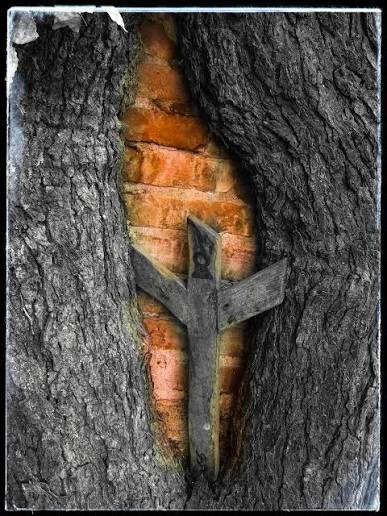 Zaman Bob❤️‍🔥 tweet media