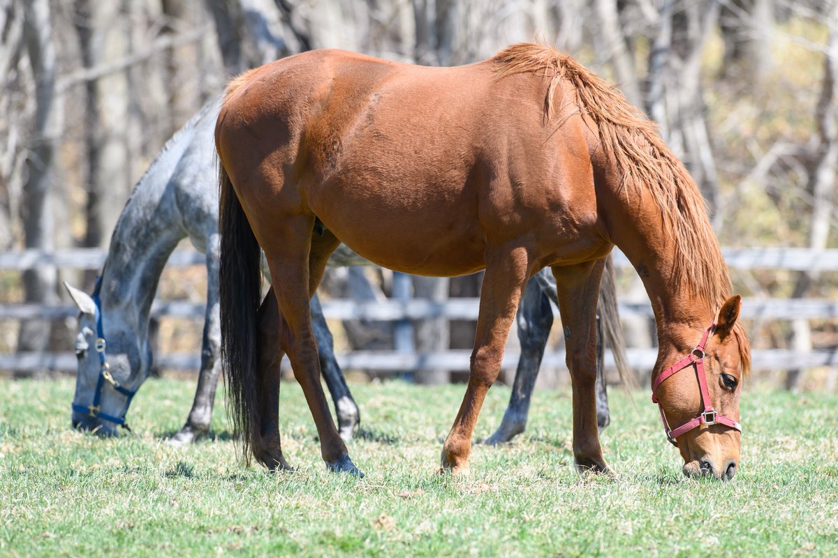 りり🫧🪼 tweet media