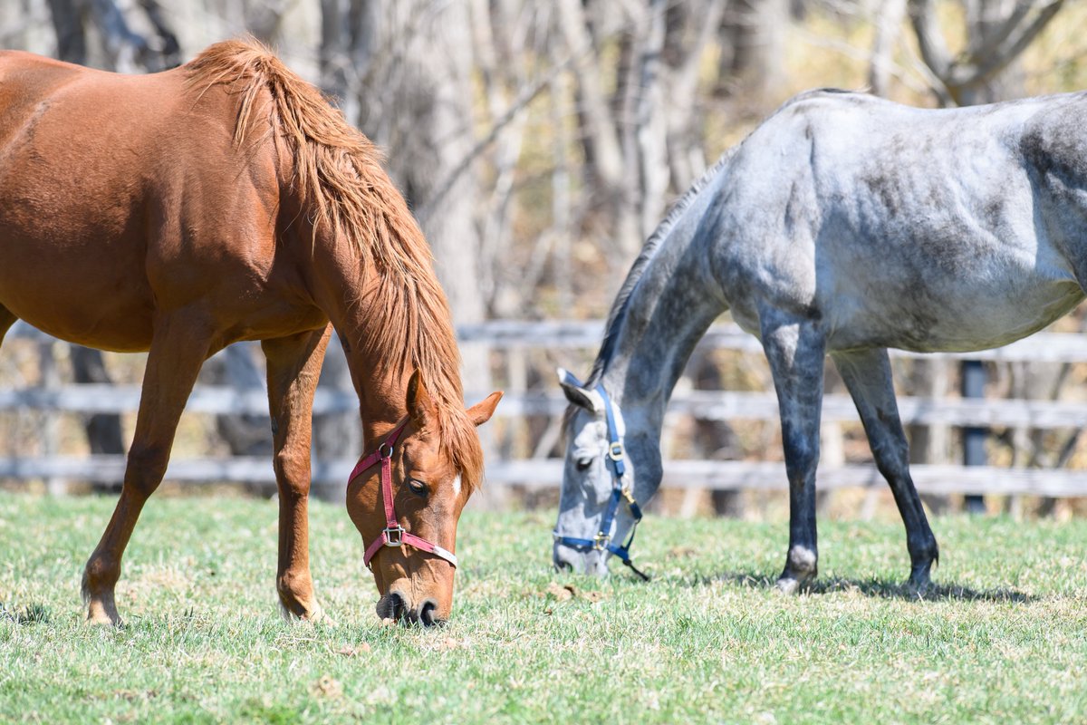 りり🫧🪼 tweet media