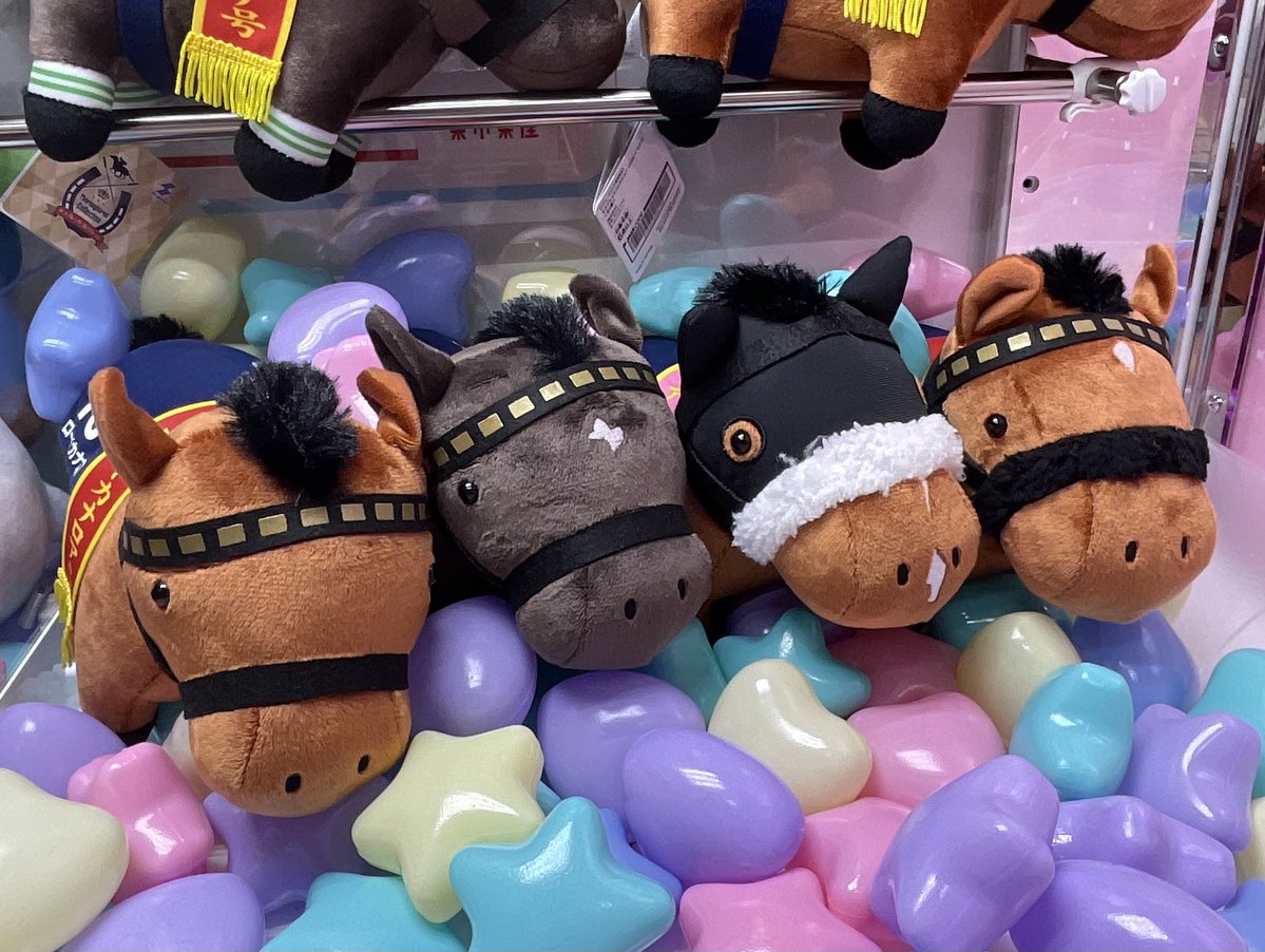 サラコレセット ぬいぐるみ 🐎💕 「コレチャン、わたしたちのぬいぐるみが遂に！！」 🐎💠 「遂に
