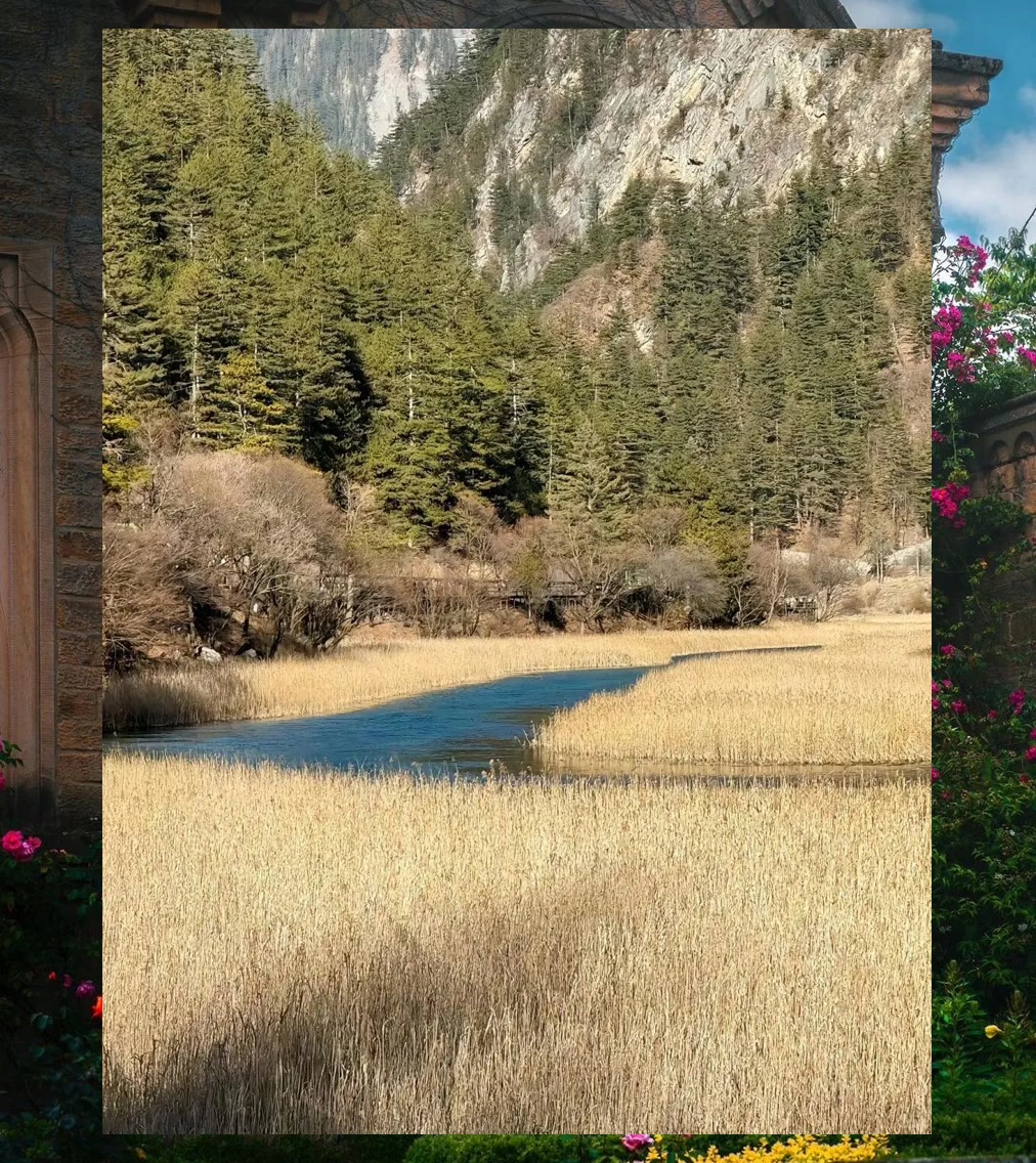 Mark Bader tweet media