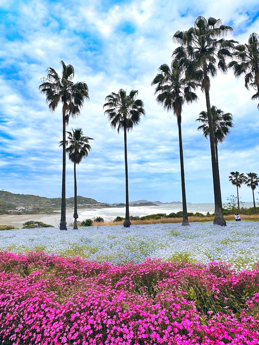 Santiago 𝕏 SingulAlchemist tweet media