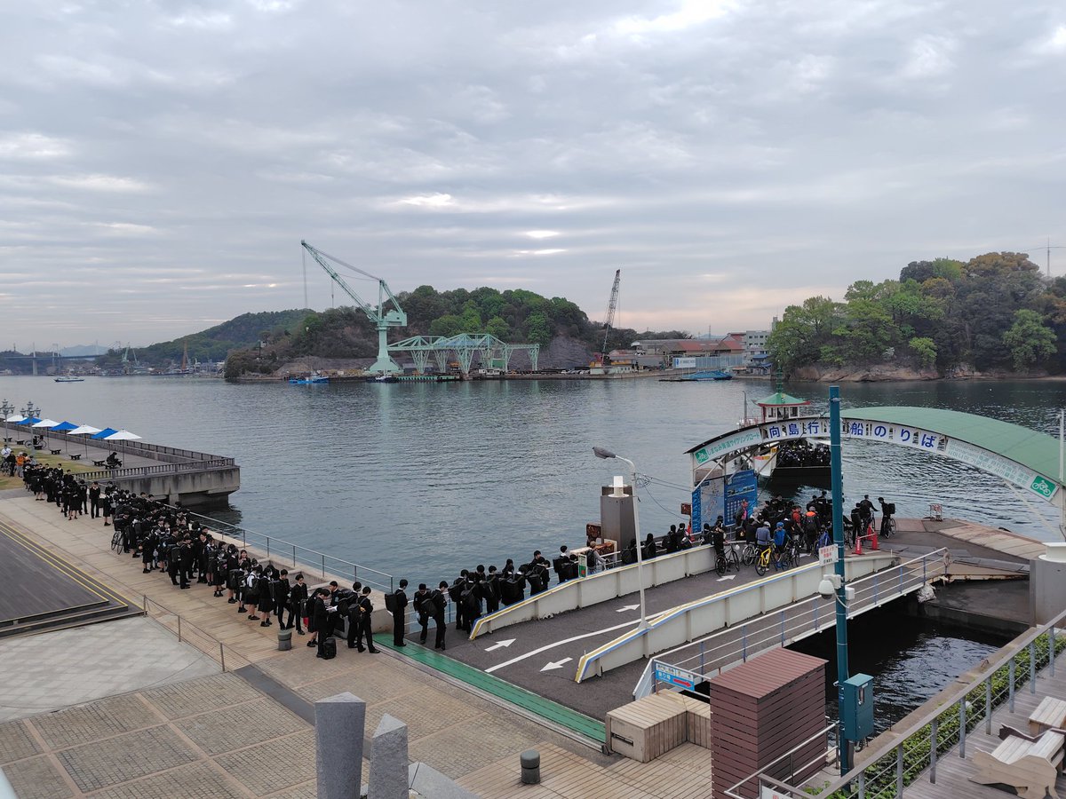 尾道ねこ tweet media