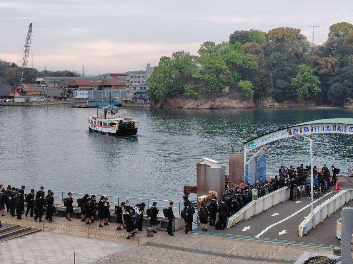 尾道ねこ tweet media