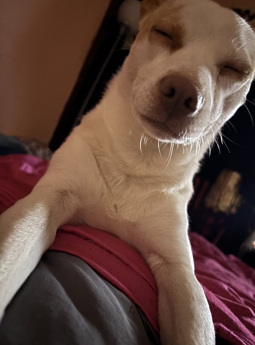 JanetSnackson's tweet photo. He wanna fight sleep. I wanna fight him. https://t.co/bTmlyrBPEO