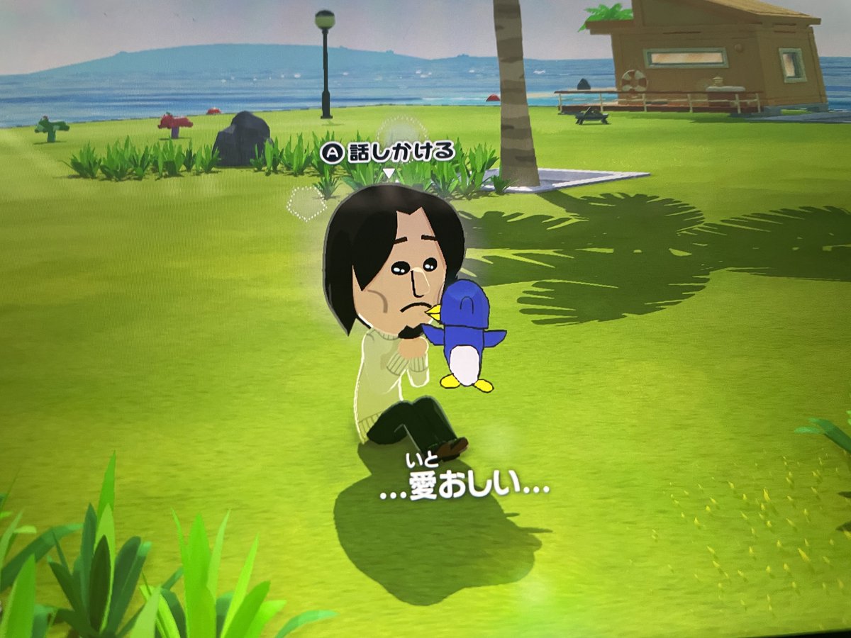 ヒラタブンブク tweet media