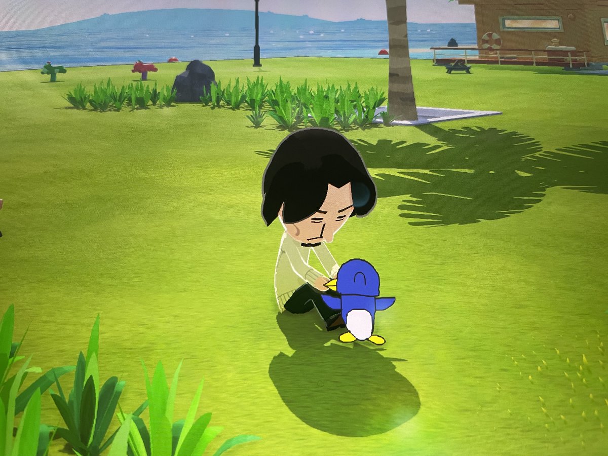 ヒラタブンブク tweet media