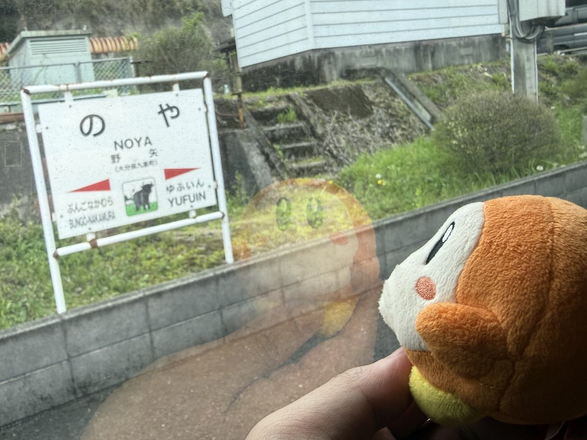 わにや tweet media