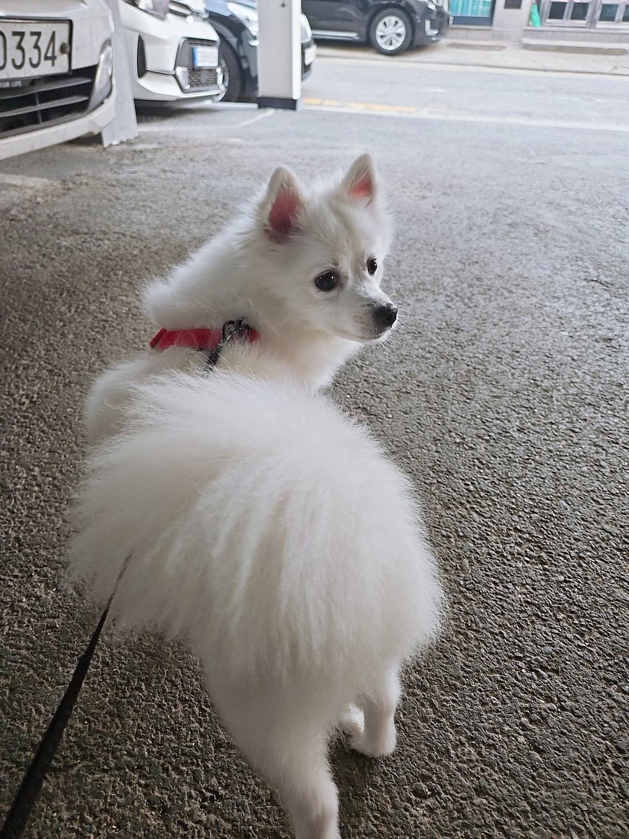 anna11_02 tweet media