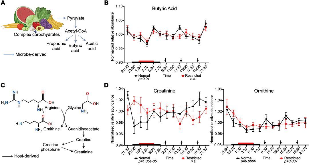 GutMicrobiota Health tweet media