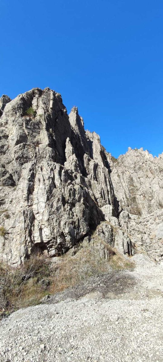 parcoDF's tweet photo. Scoprire angoli di territorio, a piedi, curiosare nella Natura con consapevolezza insieme alle guide naturalistiche e alpine.
*Troi del Mont Ciavac e sentiero geologico Alba-Susaibes-Ledron.
Ph. Michela Del Tin
#parchinaturali #friulidavivere #escursioni https://t.co/wSzvHuueWY