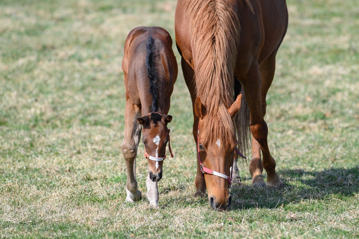 りり🫧🪼 tweet media