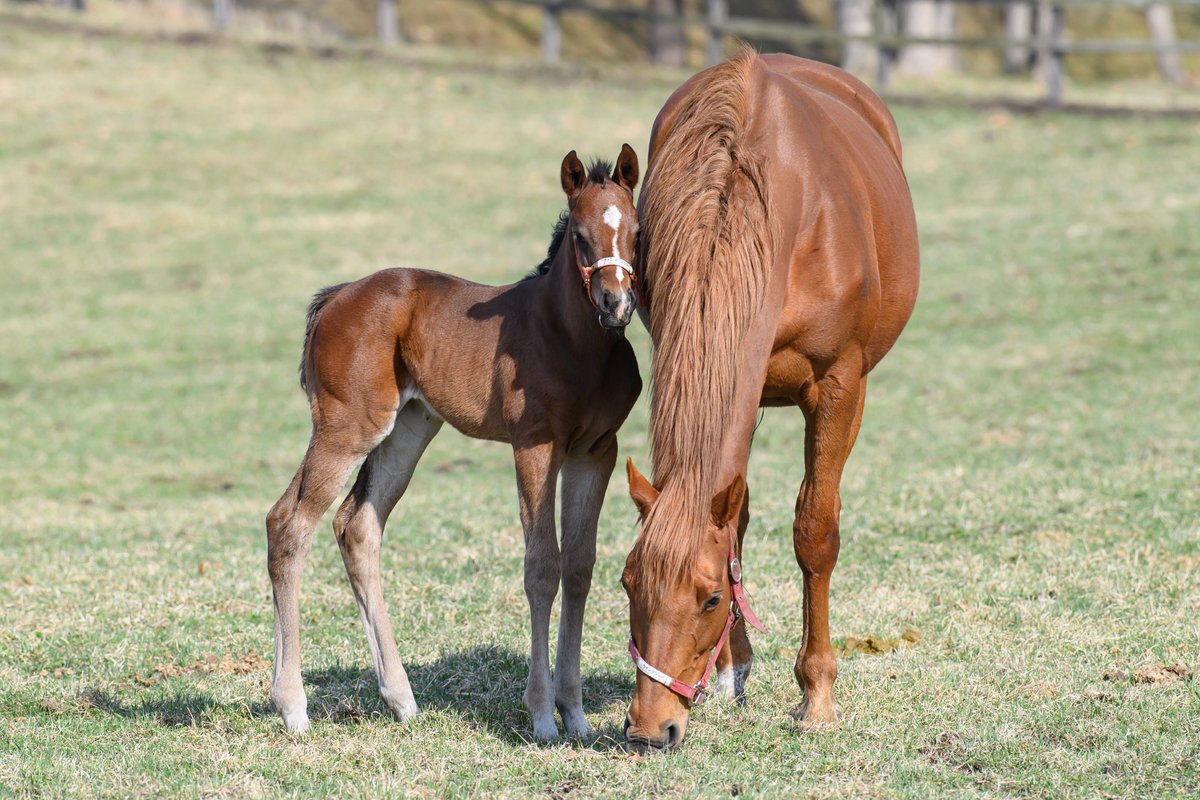 りり🫧🪼 tweet media