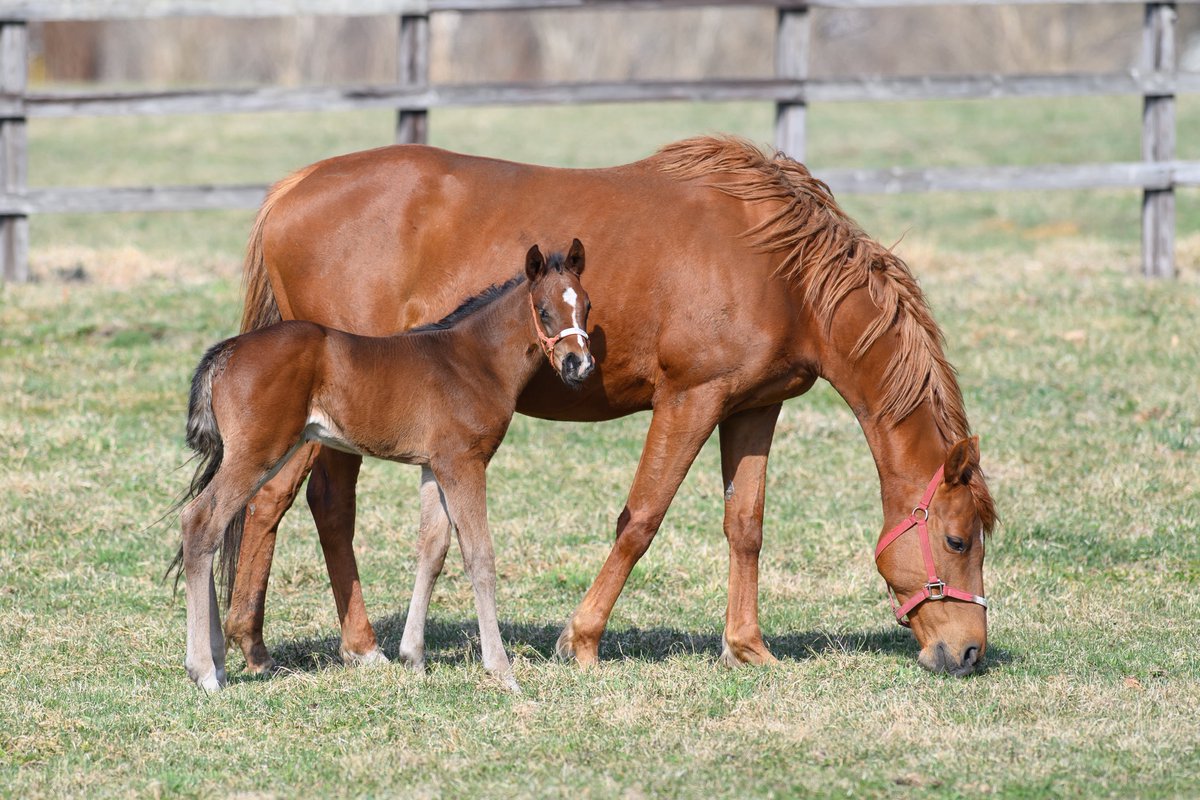 りり🫧🪼 tweet media