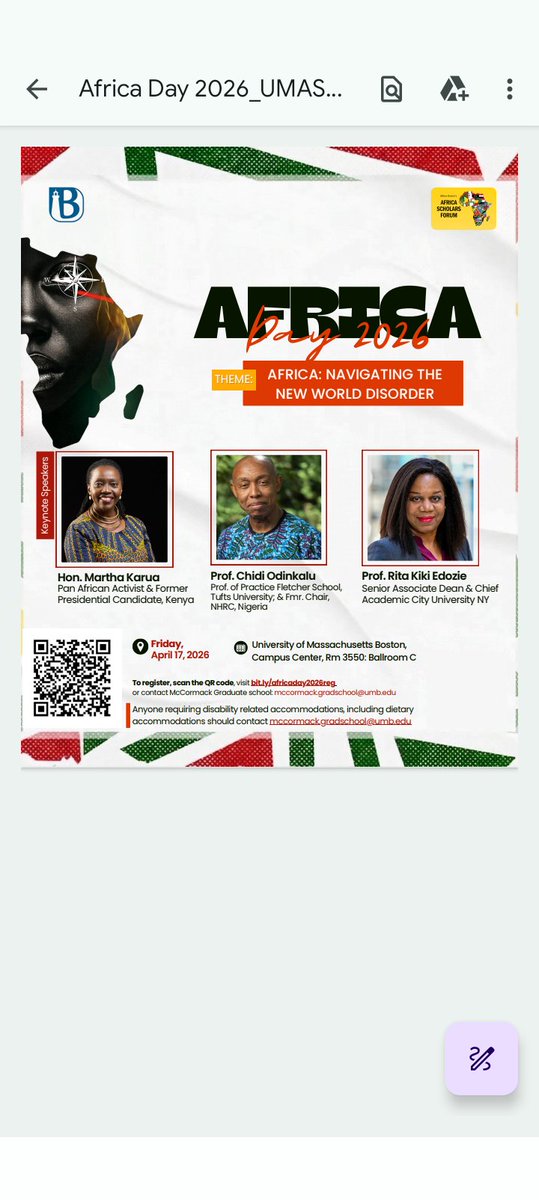 Chidi Anselm Odinkalu, CGoF tweet media