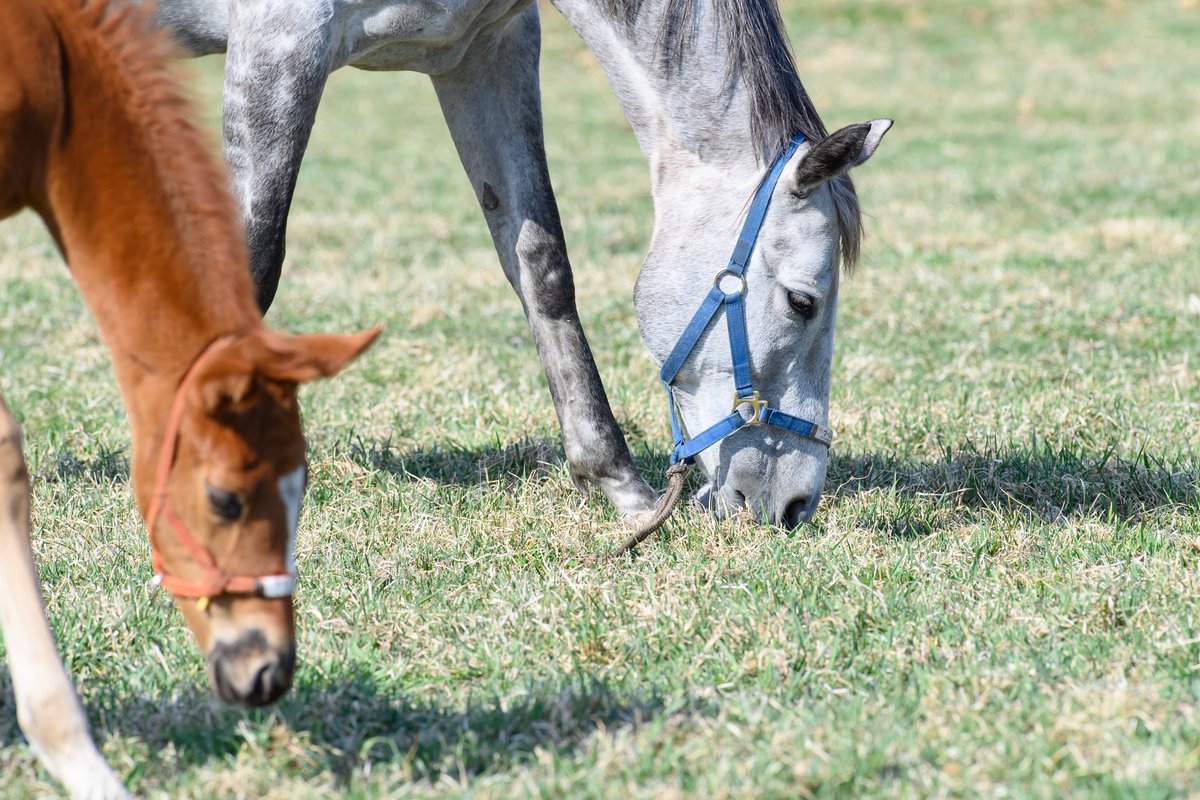 りり🫧🪼 tweet media