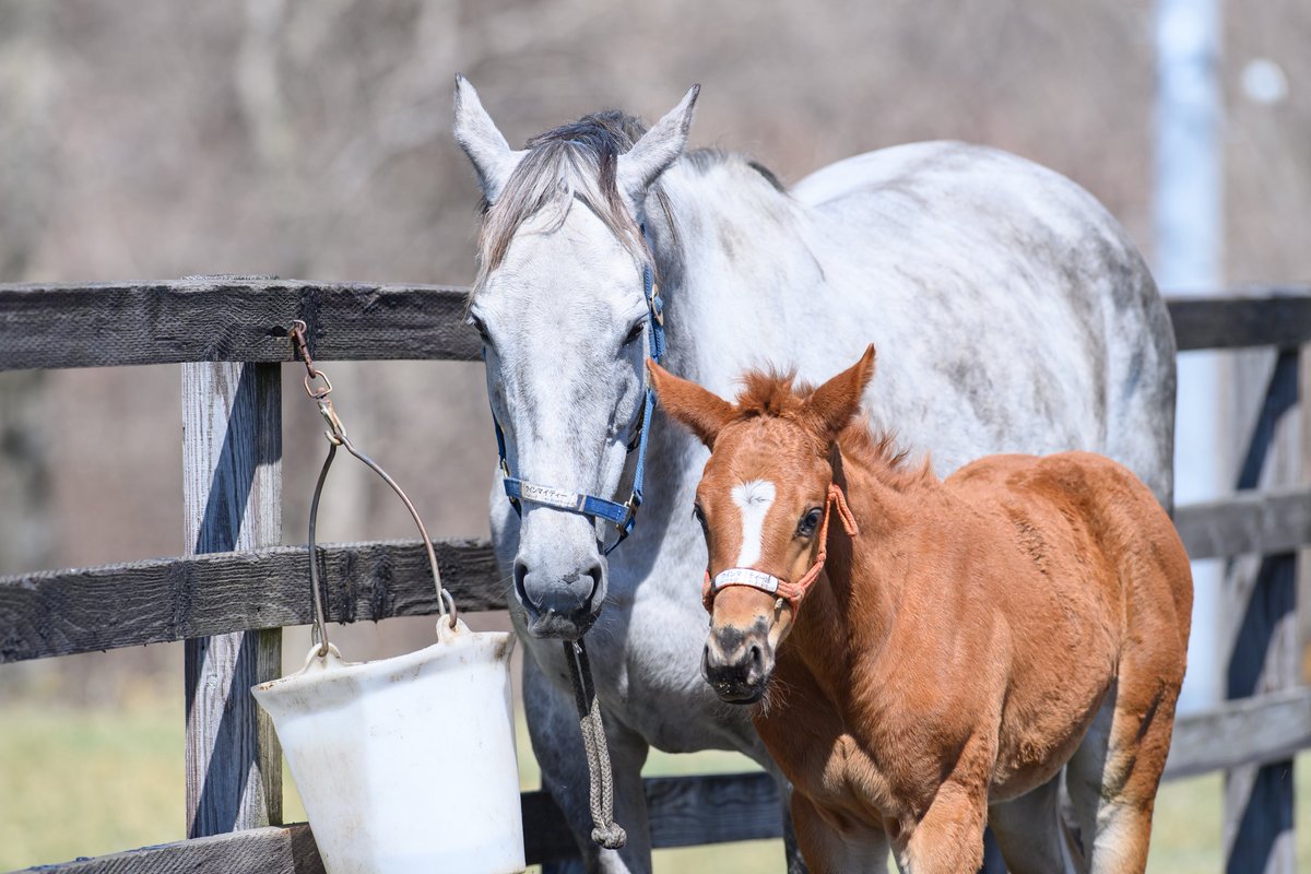 りり🫧🪼 tweet media