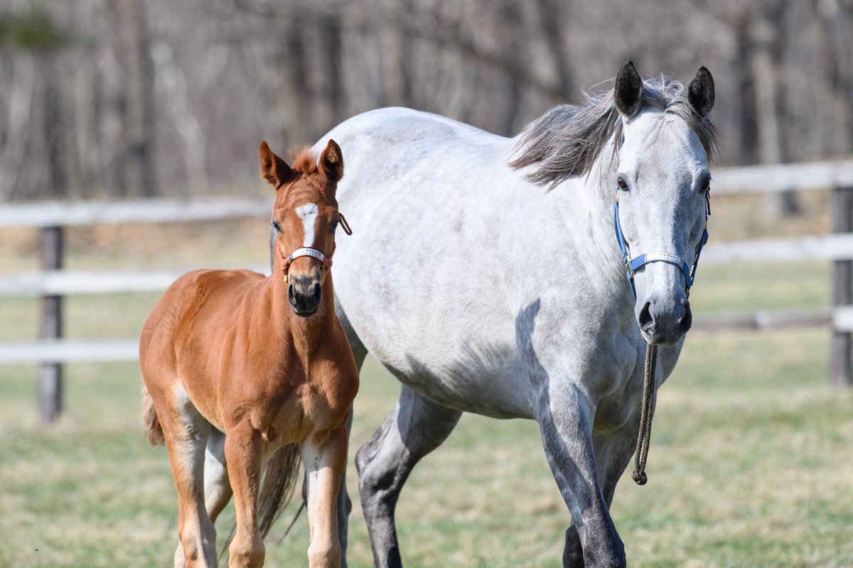 りり🫧🪼 tweet media