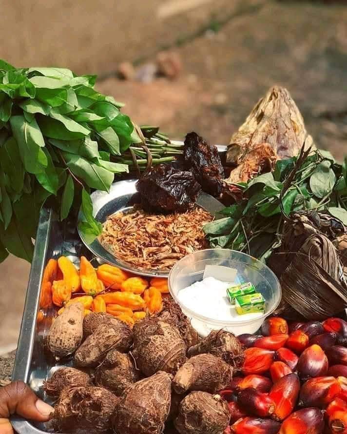 kingsley Okechukwu Okafor tweet media