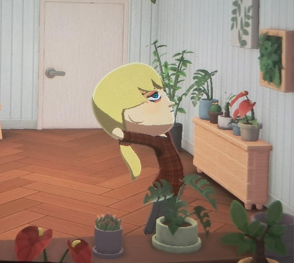 ⋆⁺‧₊☽◯☾₊‧⁺⋆ tweet media