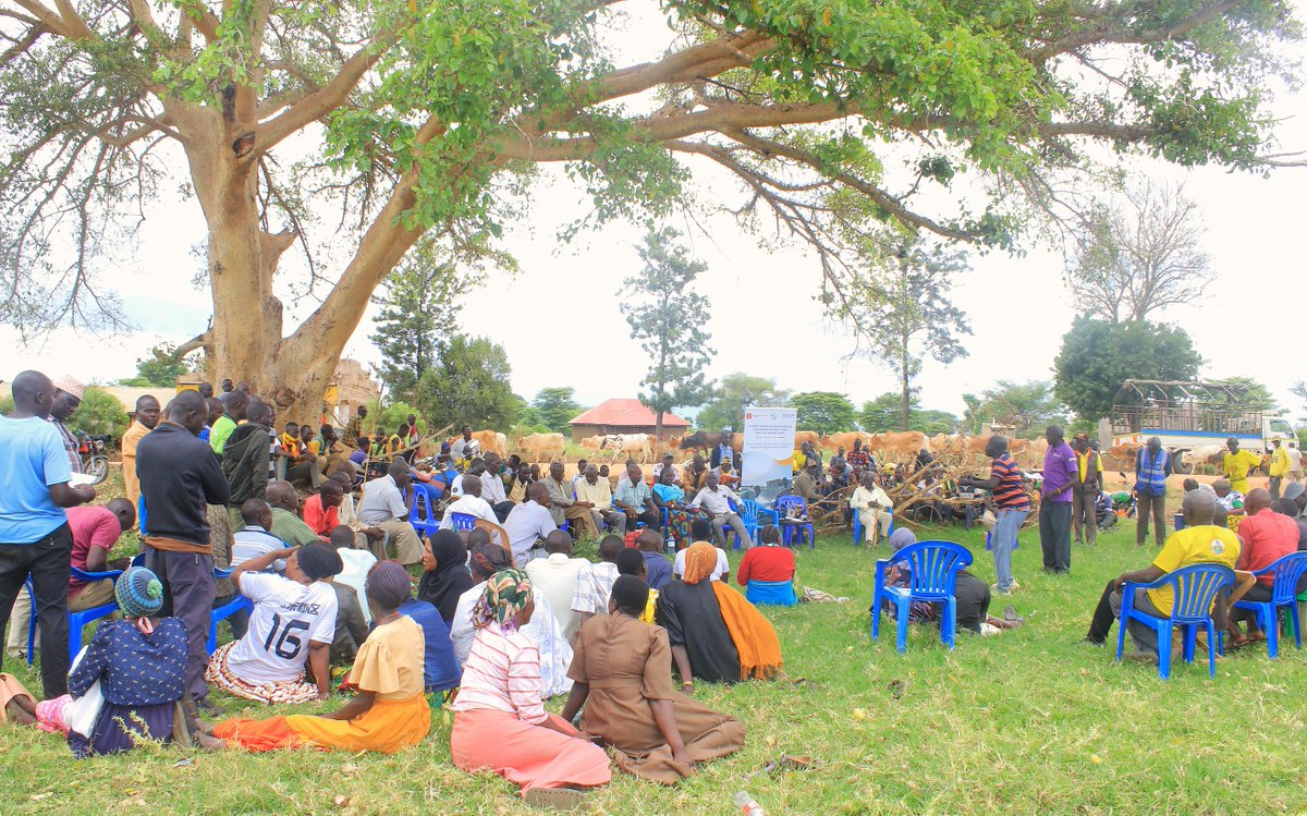 IOM Uganda 🇺🇳 tweet media