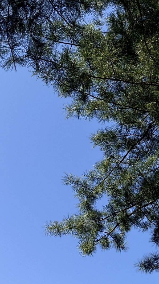 좋사좋시......... ♡ ^^