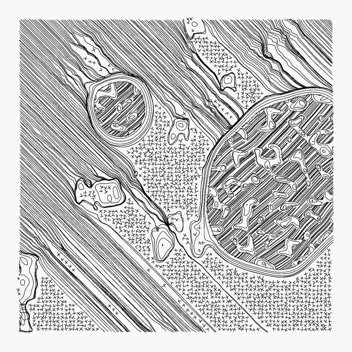 CCDDBB's tweet image. Microbes

#javascript #plotterart #plottertwitter #generativeart #genart #digitalart #abstractart #graphicart