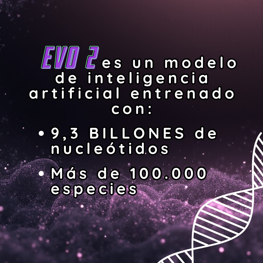 BioinforUSJ's tweet photo. Evo 2 puede:
predecir mutaciones patogénicas
generalizar patrones genéticos entre dominios de la vida
diseñar genomas completos (del tamaño de bacterias)
💡 Es uno de los hitos más claros hacia una “biología generativa” basada en bioinformática e IA. https://t.co/VIAkVYmdHZ