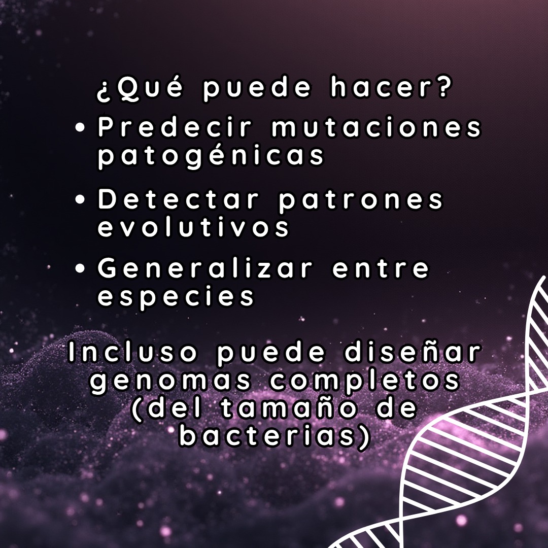 BioinforUSJ's tweet photo. Evo 2 puede:
predecir mutaciones patogénicas
generalizar patrones genéticos entre dominios de la vida
diseñar genomas completos (del tamaño de bacterias)
💡 Es uno de los hitos más claros hacia una “biología generativa” basada en bioinformática e IA. https://t.co/VIAkVYmdHZ