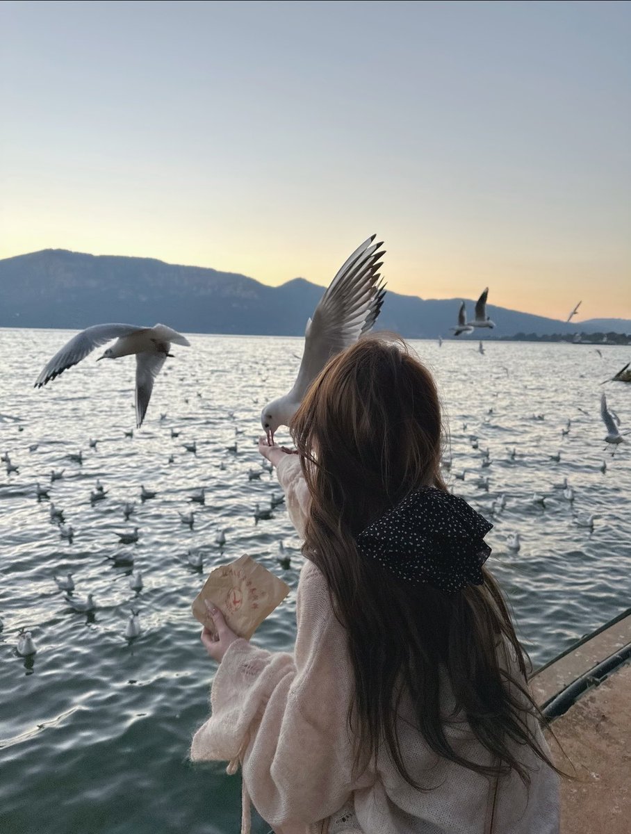 没有公主病 tweet media