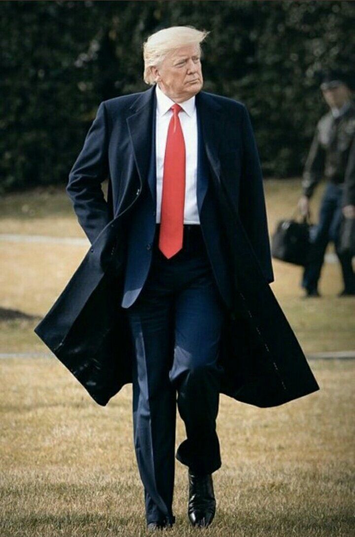 MAGA NEWS tweet media