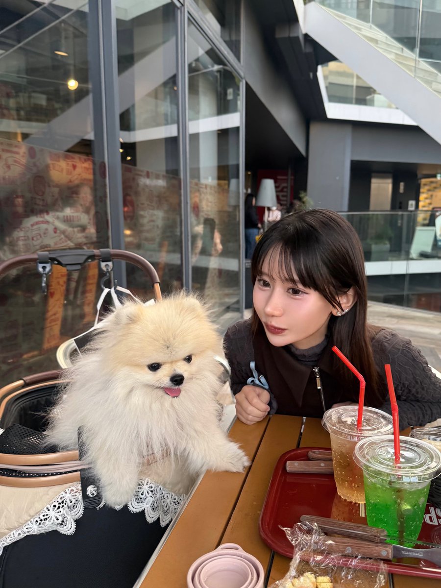 re_cat0's tweet photo. おはよう🐶
ポムとランチした日の🍽 https://t.co/enIRMzAxqy