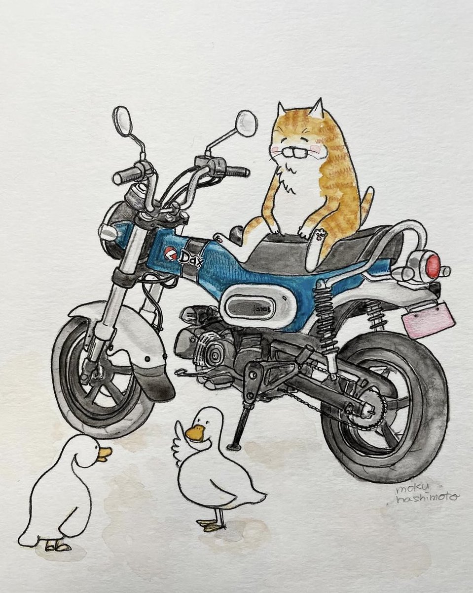 橋本もく tweet media