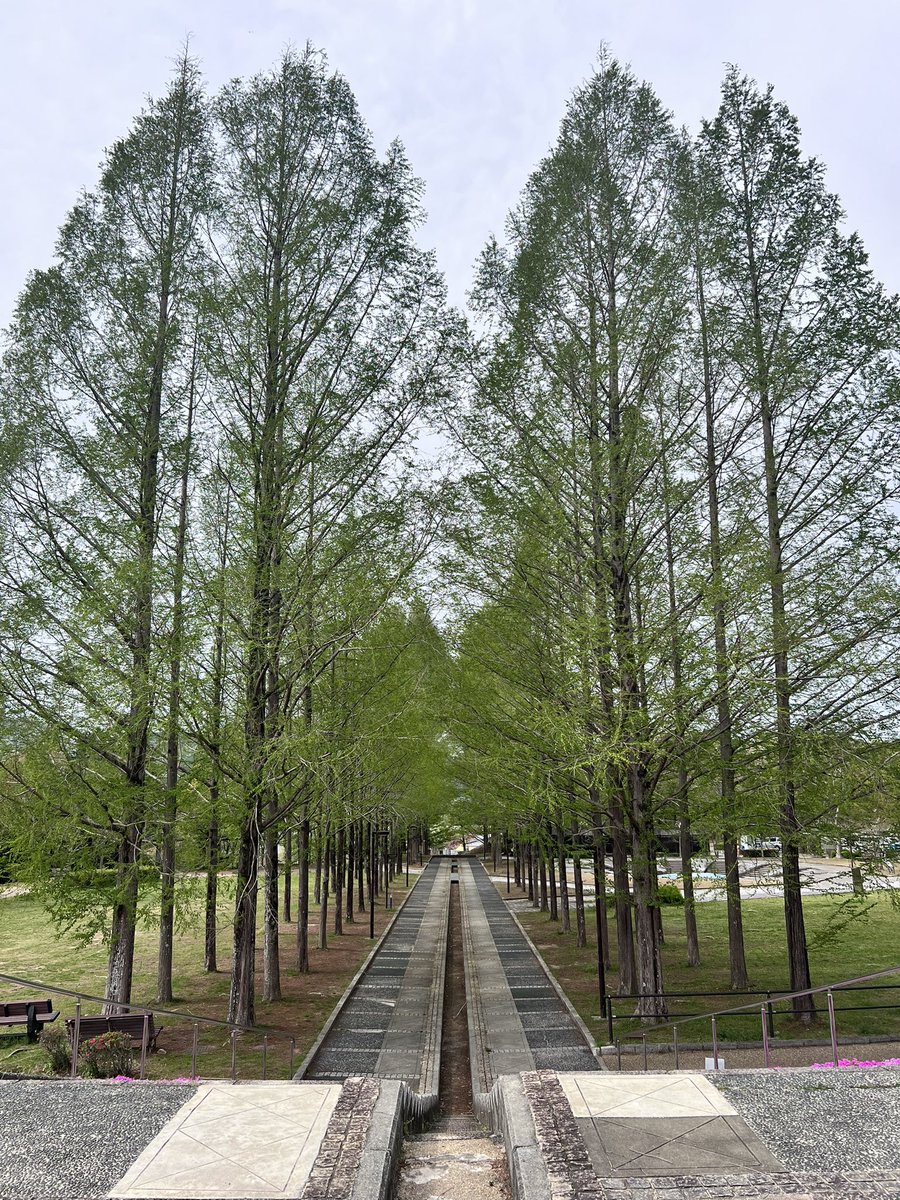 よろづのかるみ tweet media