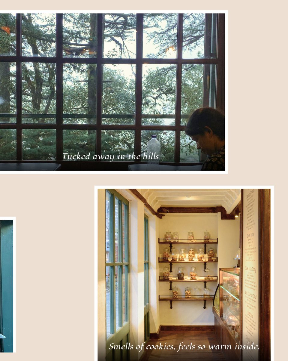 RokebyM's tweet image. As Landour Bakehouse turns 9 today, here are our 9 favourite things about this cafe that has given us endless memories.
(1/2)
#landour #mussoorie #bakery #mountains