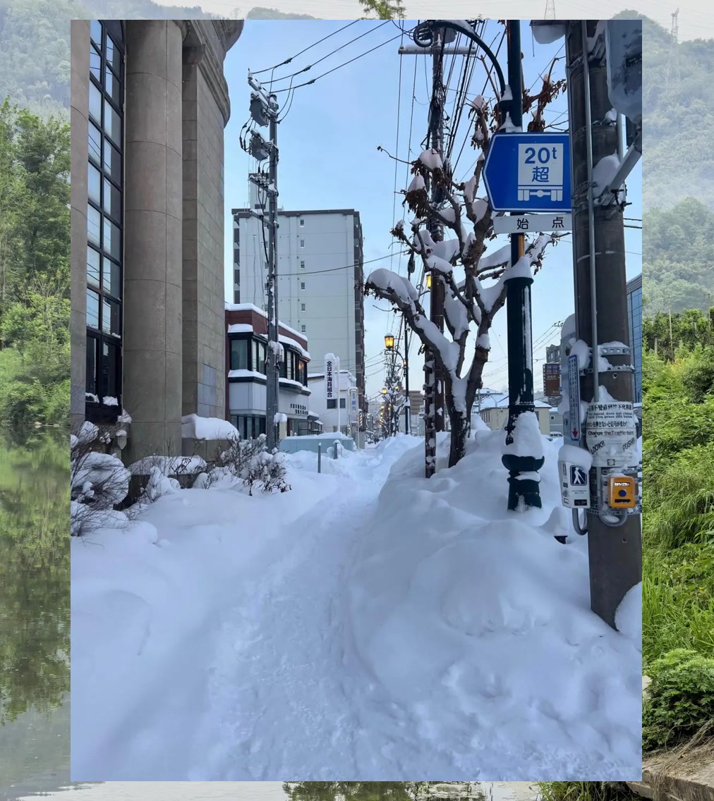 Dustin Gonzalez tweet media