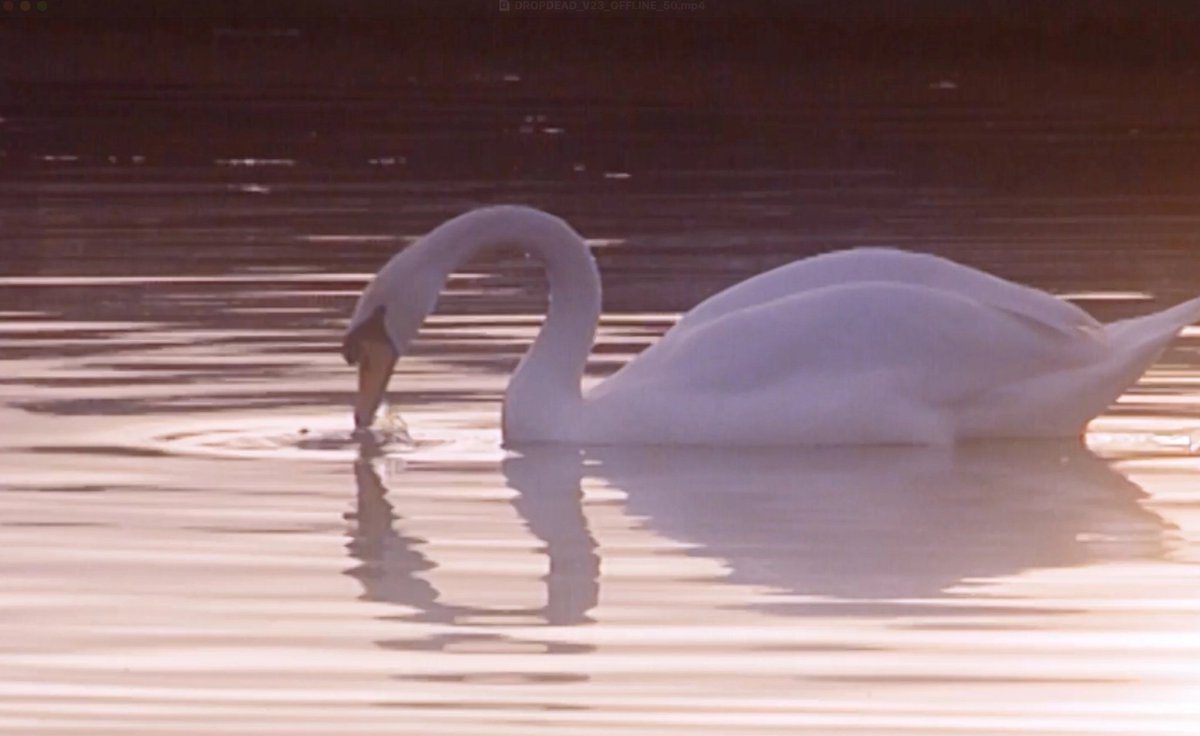 👩🏽‍💻 tweet media