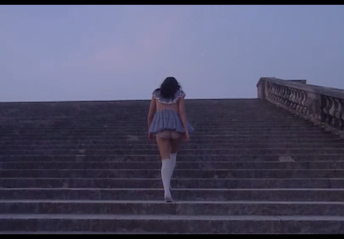 👩🏽‍💻 tweet media