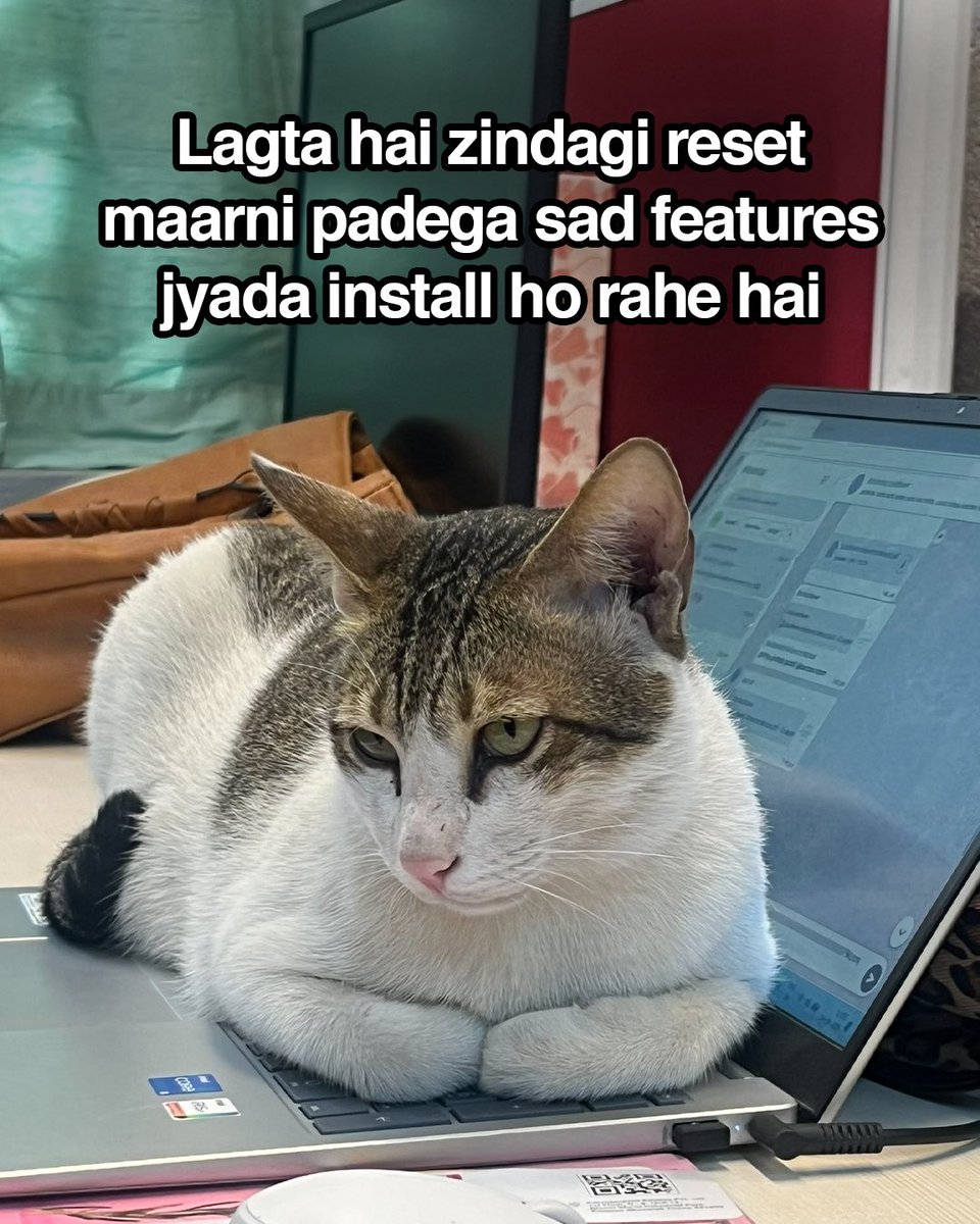 besoulflower's tweet image. That’s the only way 🙃

#catsofinstagram #catsofsoulflower #meme #relatable #catmeme #humor