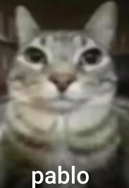 Grom Horizon 🇷🇺 tweet media