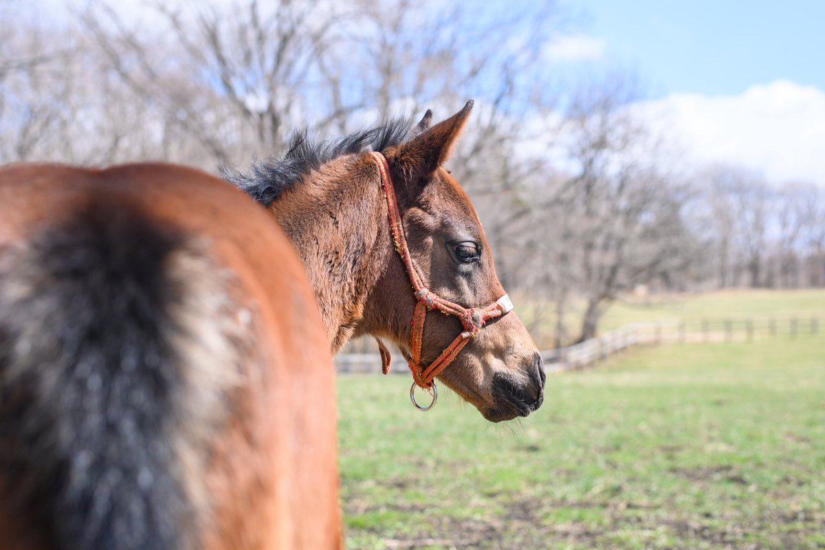 りり🫧🪼 tweet media