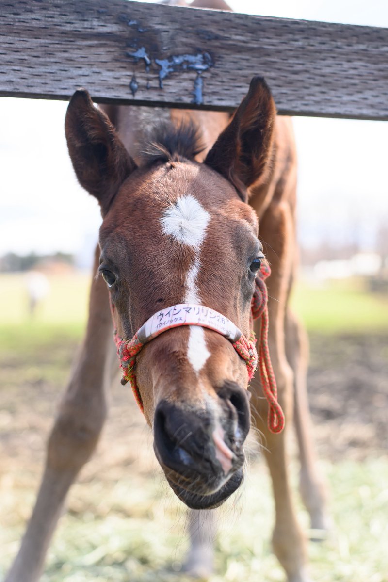 りり🫧🪼 tweet media