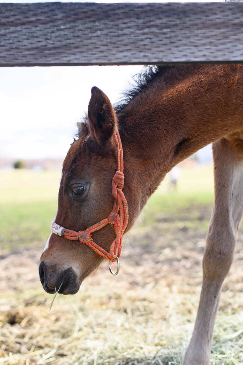 りり🫧🪼 tweet media