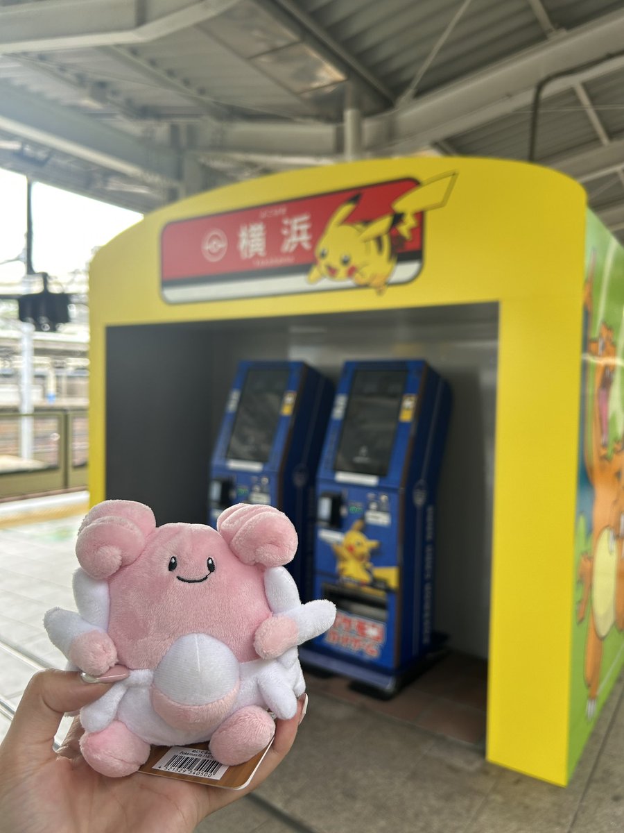 みかぽん tweet media