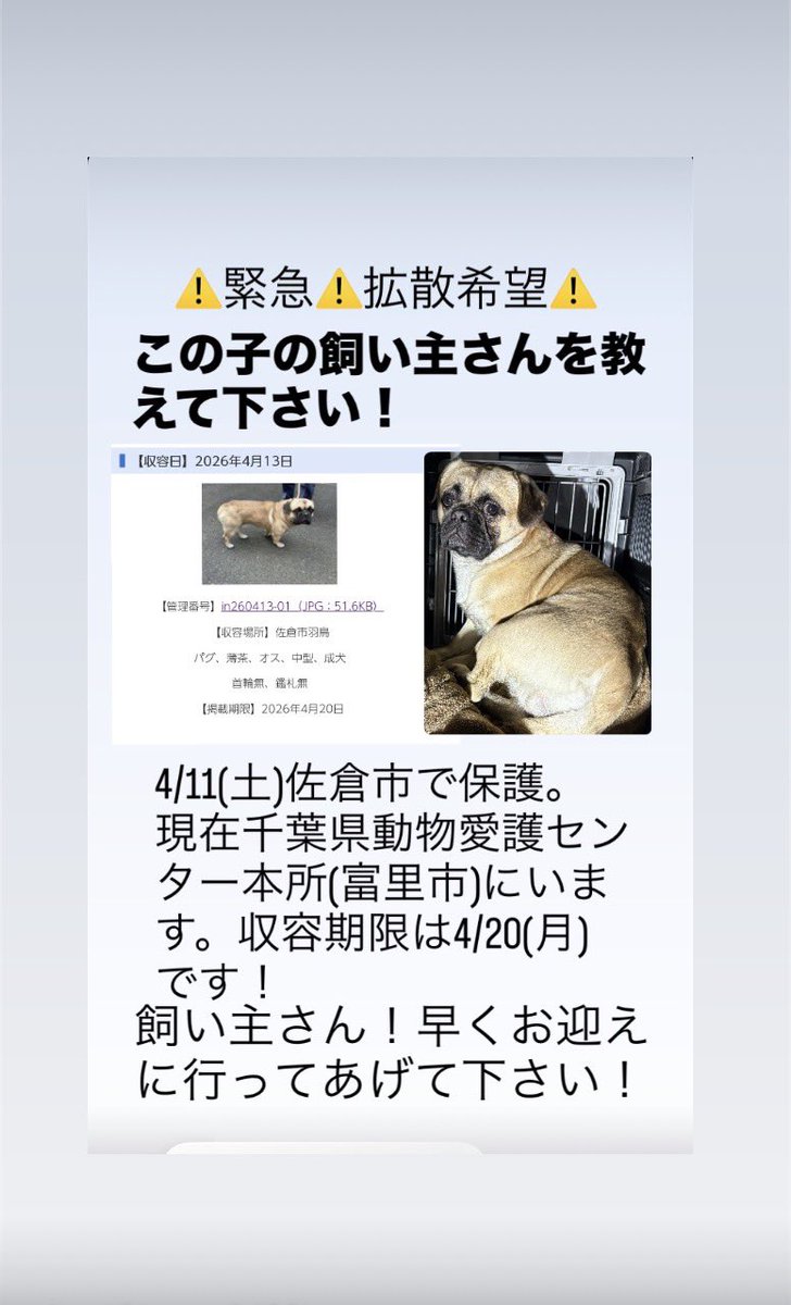 なおさん tweet media